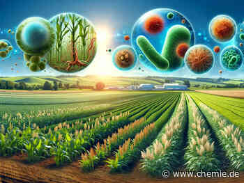 Mikroben könnten helfen, den Bedarf an chemischen Düngemitteln zu verringern