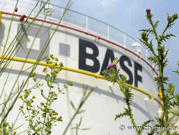 BASF-Forschungsteam für Prozesskatalysatoren erhält Edison Patent Award 2023 für neuartiges Adsorptionsmittel