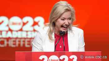 Bonnie Crombie wins Ontario Liberal leadership race, says party focused on beating Doug Ford