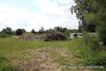 Voormalig rugbyterrein wordt dan toch geen bloemenplukweide met eetbaar groen