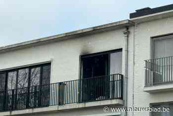 Appartement onbewoonbaar na potje op het vuur in Edegem: “Kat en hond konden gered worden”