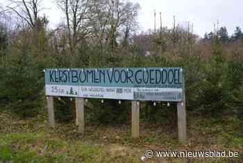 Toffe buurt Waterlaet verkoopt voor 25 euro het stuk weer kerstbomen voor goede doel