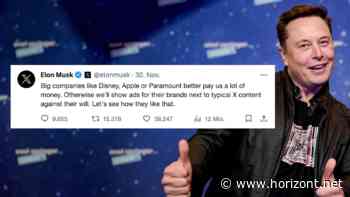 "Go Fuck Yourself": So witzig eskaliert "Der Postillon" Elon Musks Krieg gegen Werbekunden