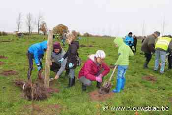 Bollebos wordt halve hectare groter: vrijwilligers planten duizend boompjes bij