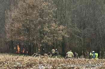 Houten caravan brandt uit midden in bos