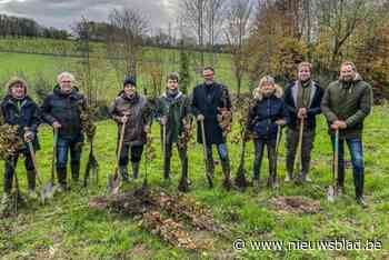 Geboortebos Maarkedal groeit met 475 bomen