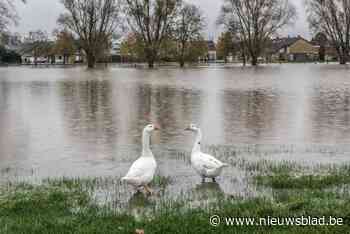 Gemeente informeert slachtoffers van wateroverlast