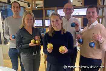 Ruim 50 handelaars en horecazaken verstoppen gouden kerstballen in etalage