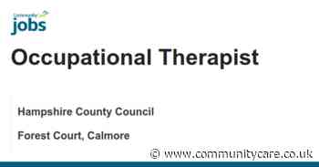 Occupational Therapist