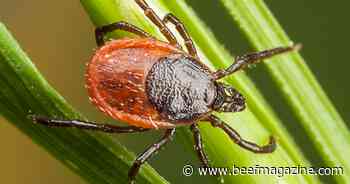 Farm Progress America, December 4, 2023