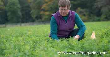 Research team receives grant to study alfalfa autotoxicity