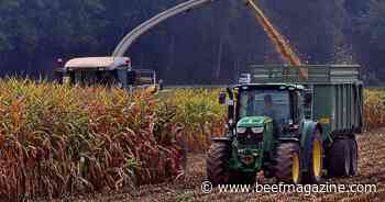 Ag employers reminded of their responsibilities to youth workers