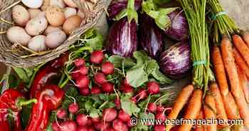 Farm Progress America, November 17, 2023