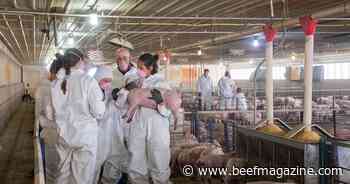 Joint program to recruit production animal medicine veterinarians