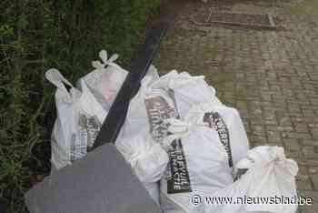 Waarloos ruimt zwerfvuil