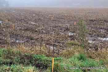 W-Kracht geeft aanzet voor bouw van twee windmolens