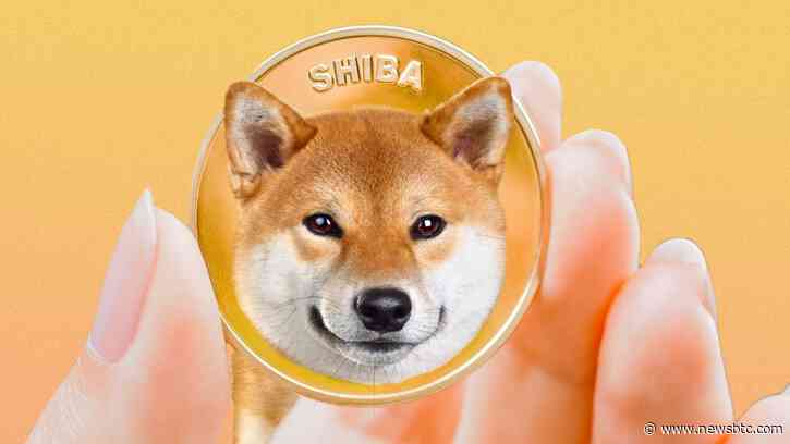 Shiba Inu Open Interest Falls Behind General Crypto Market, What This Means For Price
