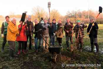 Oldtimerbos compenseert luchtvervuiling jaarlijkse rally: 1200 bomen maken Schilde groener en zuiverder