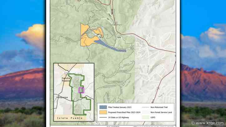 Forest officials planning pile burn in Sandias