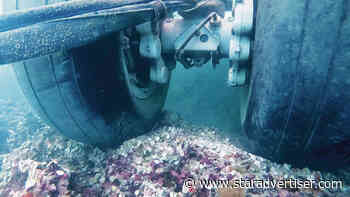 Navy video shows no widespread reef damage from plane in Kaneohe Bay