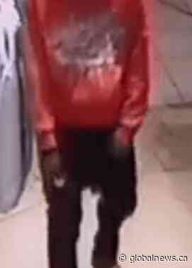 Police in Brampton seek help tracking down suspect in assault investigation