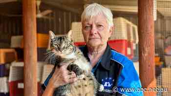 How a group of animal lovers convinced Qantas to change freight rules to save pets from euthanasia
