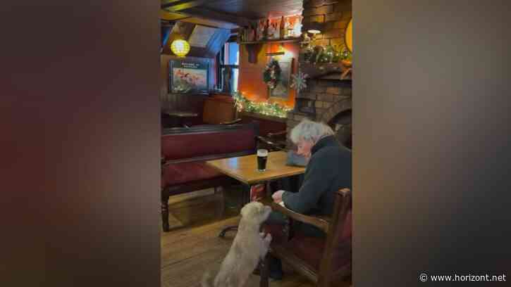 Charlie's Bar: Dieser Low-Budget-Spot einer irischen Bar ist ein kleines Weihnachtswunder