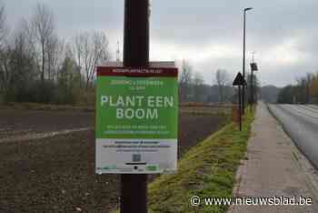Buurtbewoners en advocaten trekken zondag laarzen aan om ‘Baliebos’ aan te planten: “Zo ontstaat een heus landschapsbufferpark”