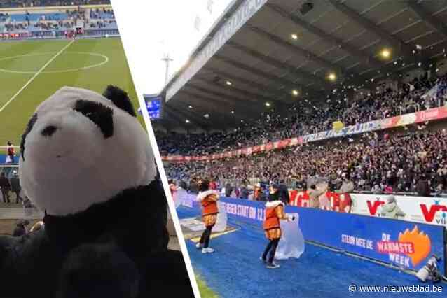 KRC Genk-supporters mogen voor een keer wél dingen op het veld gooien voor ‘De Warmste Wedstrijd’