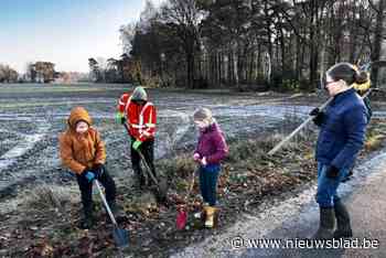 Honderden mensen planten 5.000 bomen in een dag voor Luciebos
