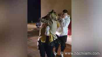 ‘Bittersweet': Families grateful to see relatives and friends released from Hamas captivity