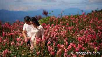 The Power of a Single Light in Portrait Photography