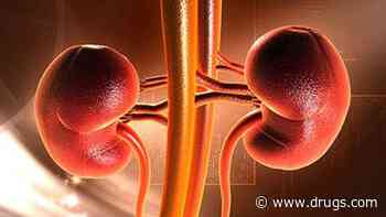 Albuminuria Reduction Accounts for Much of Finerenone Effect on CKD