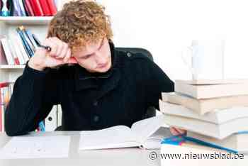 Gemeente zoekt partner voor geschikte studielocatie: “Lokale vereniging krijgt hiervoor financiële steun”