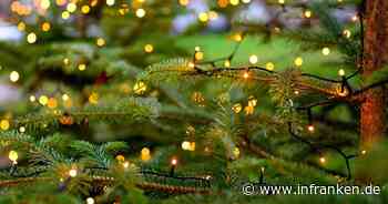 Pottenstein: Winterzauber - Schul- und Kindergartenkinder schmücken Christbäume im Kurpark