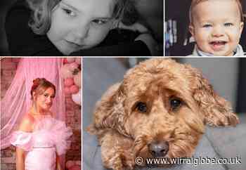 18 picture perfect portraits of people and pets