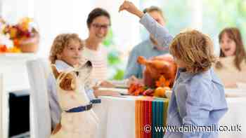 Surprising Thanksgiving leftovers you should NEVER feed your dog because they can cause seizures and hallucinations