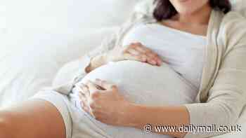 Why it pays to be a chatty mum: Babies start learning language BEFORE birth, study finds