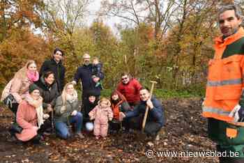 Honderdtal kindjes krijgen geboorteboom