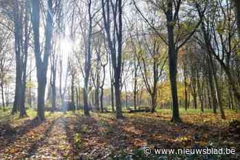 Ruim 50 nieuwe bomen vergroenen gemeente