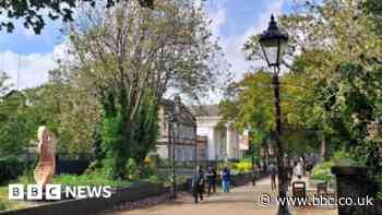 New Walk: Trees to be felled on part of historic city route