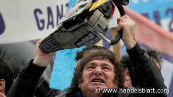 Öl, Lithium, Soja: Nach der Wahl in Argentinien: Das könnten die Auswirkungen auf das Rohstoffangebot sein