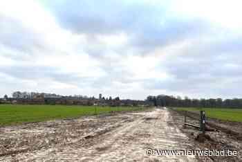 Trappisten gaan gerooide dreef opnieuw beplanten met 66 wintereiken