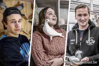 De nieuwe generatie duivenmelkers: “In oktober heb ik 24 kinderen van prijsduiven verkocht voor 220.000 euro”