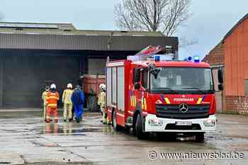 Brandweer moet uitrukken voor mazoutbrand in stal van landbouwbedrijf