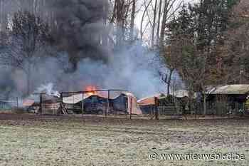 Tuinschuren gaan in vlammen op