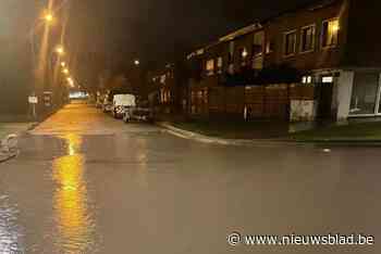 Hulpverleningszone 1 moest dinsdag 254 interventies voor wateroverlast uitvoeren: “Veel nuttig werk verricht”