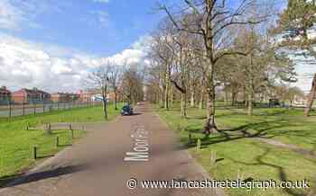 Gang of men carrying weapons attack teenager in park