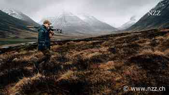 Für Jacken aus Eiderdaunen werden die Enten nicht gequält, sie bleiben am Leben. Doch an ihrer Stelle sterben massenhaft Polarfüchse