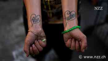 Das Schmerzmittel Fentanyl führt bei Neugeborenen zu Fehlbildungen